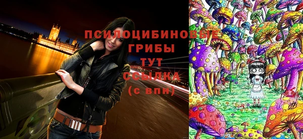 спиды Армянск