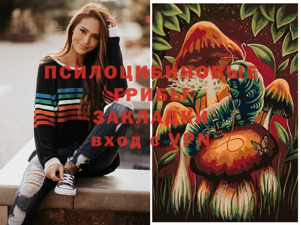 бошки Михайловка