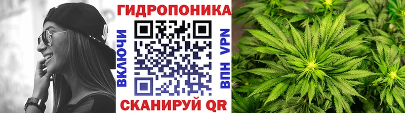 Купить где  Бор  Бошки марихуана марихуана 